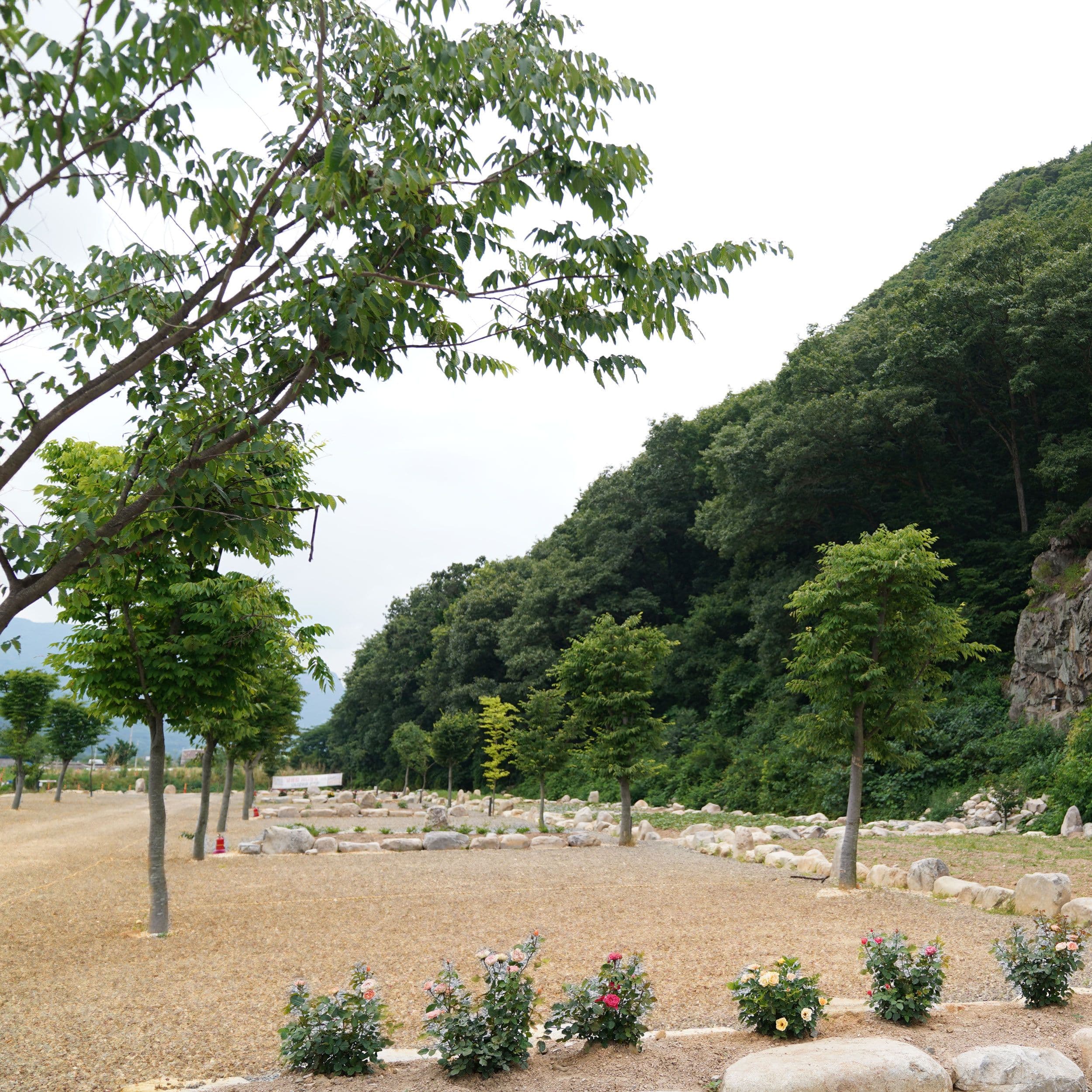 별마당 체험농장 11~20